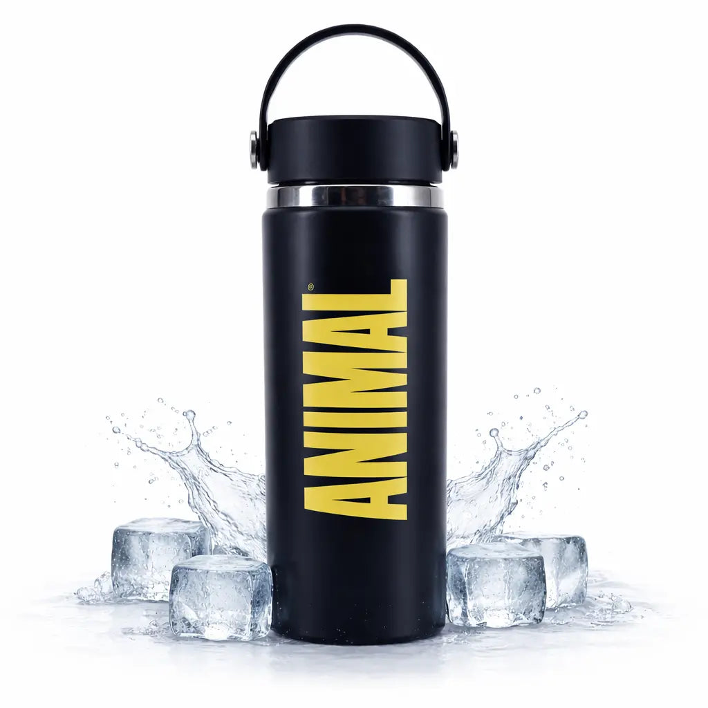 Animal insulated steel water bottle 500ml front