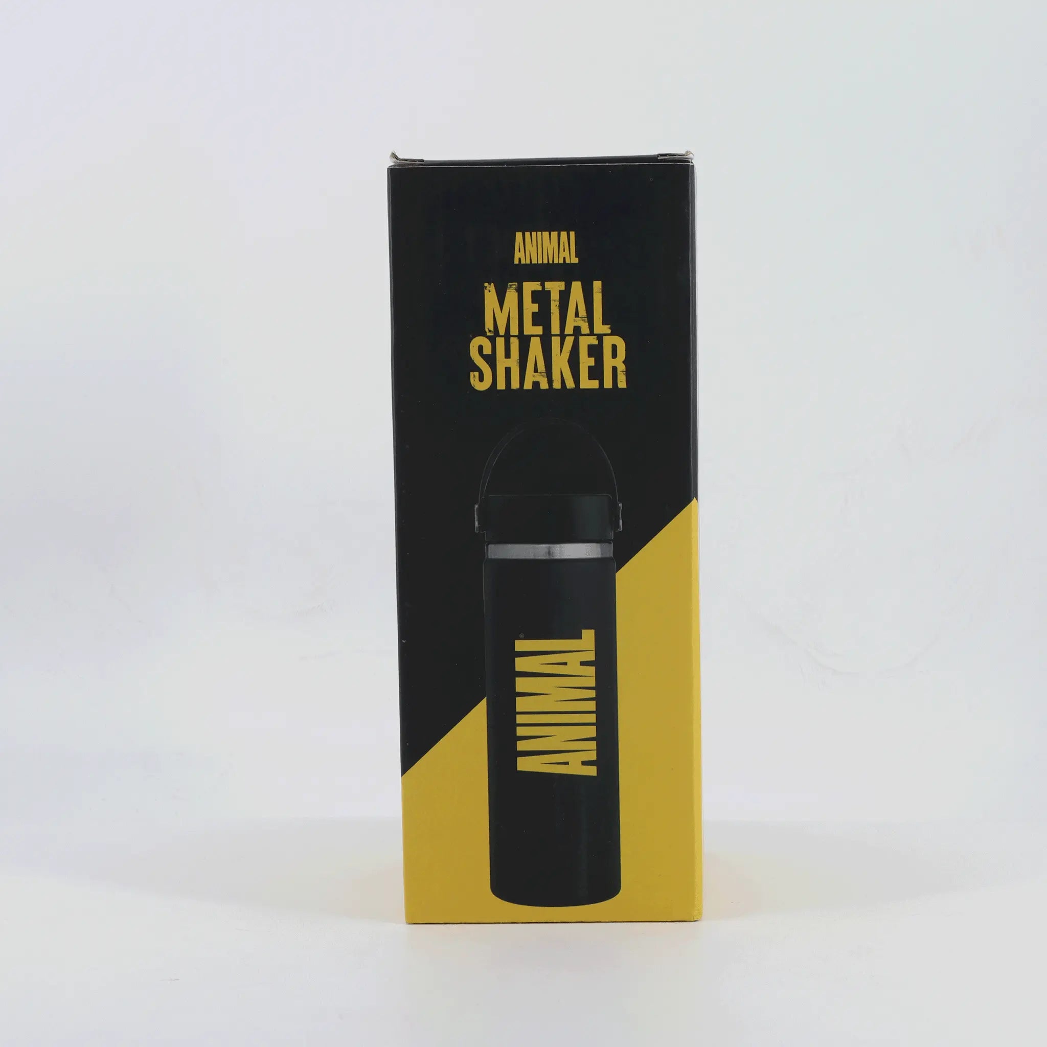 Animal insulated steel water bottle 500ml lifestyle