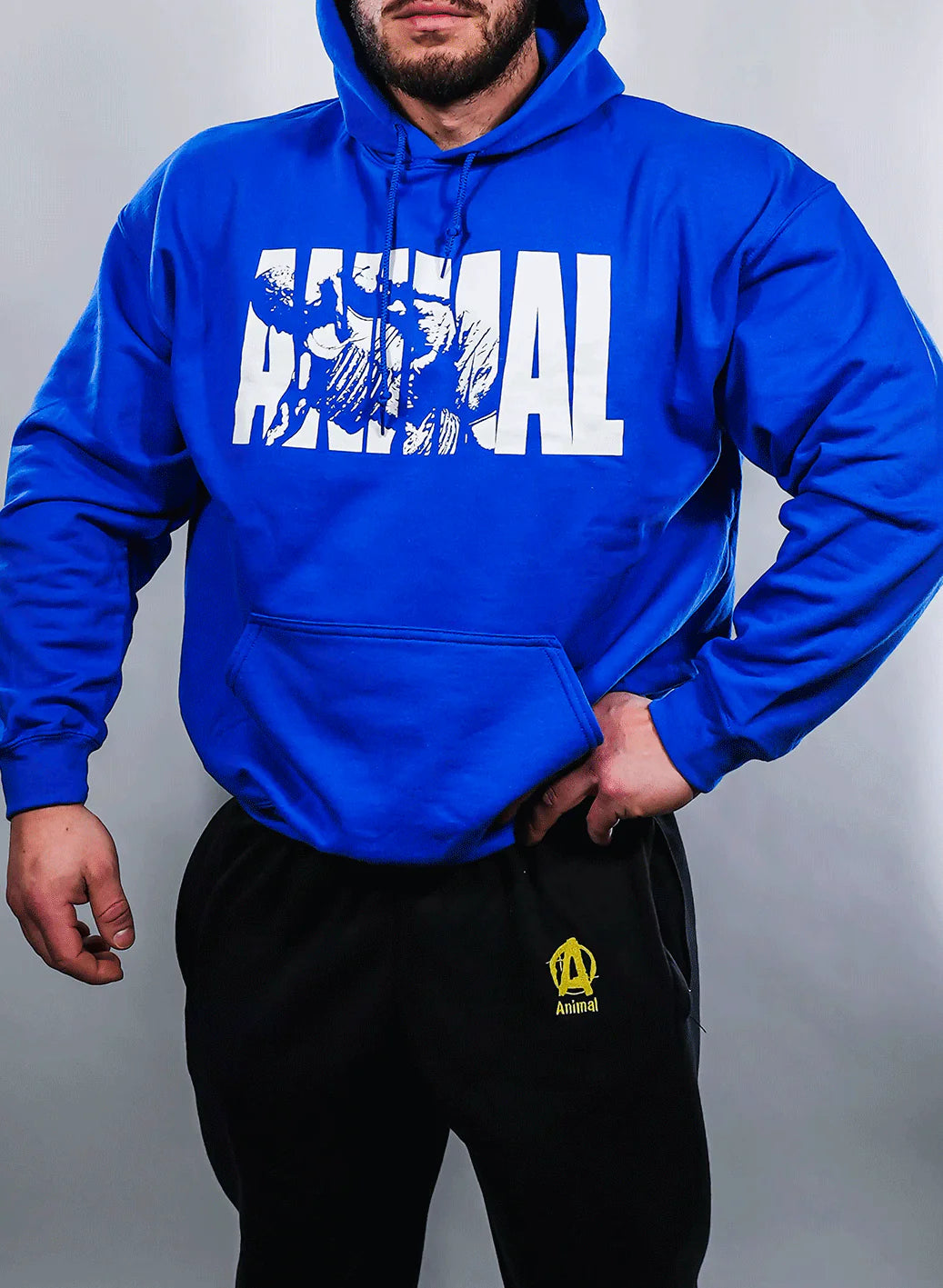 Animal Fury hooded sweater blue front view