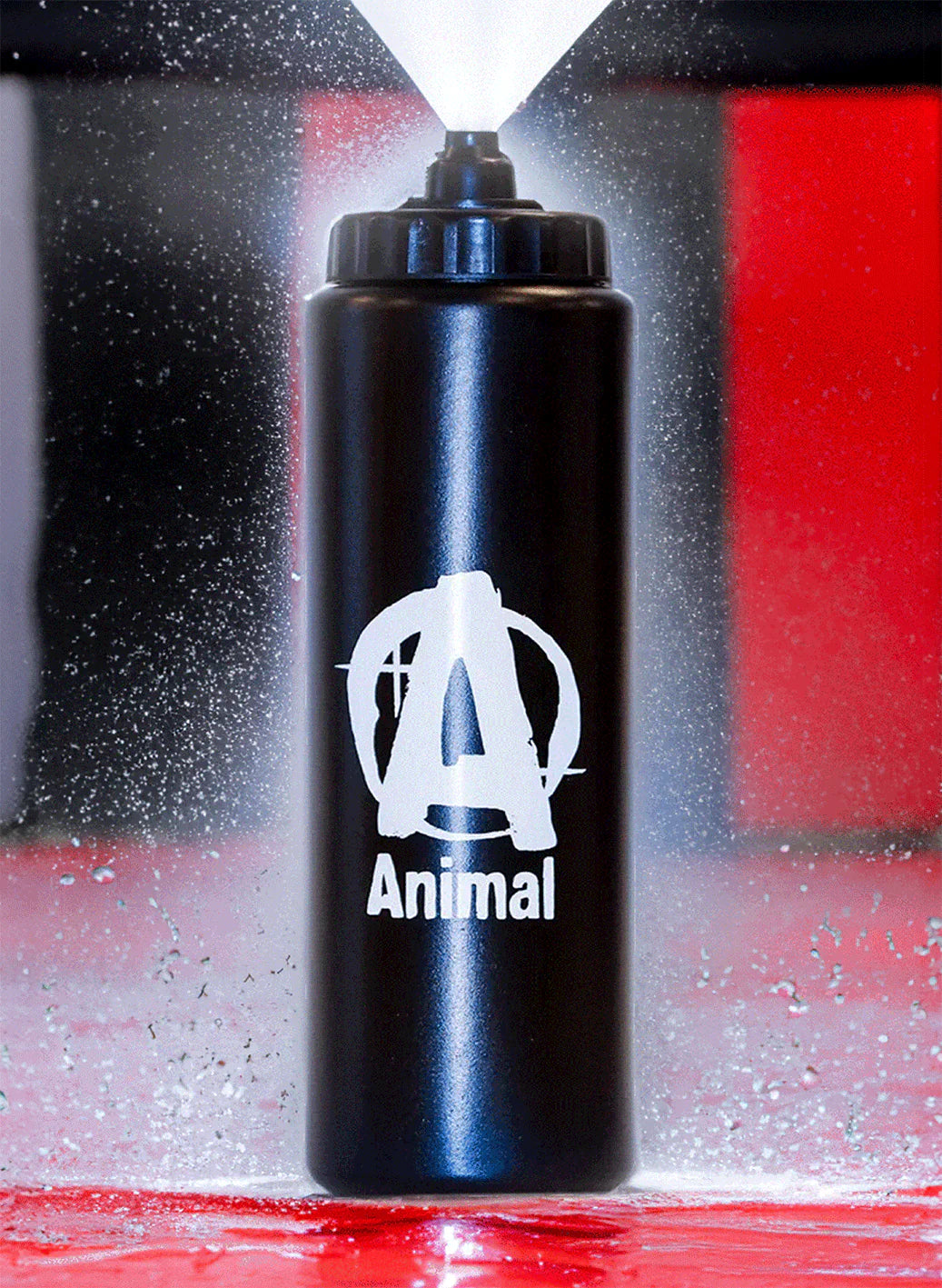 Animal squeezable water bottle front view
