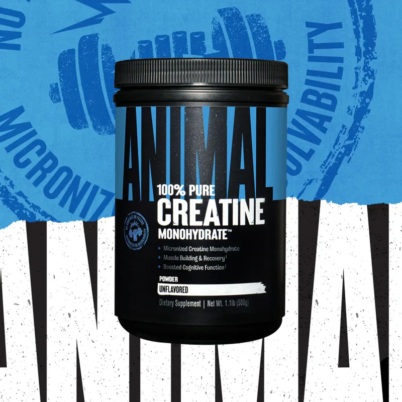 Animal Creatine Monohydrate powder unflavoured 500g