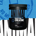 Animal Creatine Monohydrate capsules pills