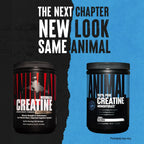 Animal Creatine Monohydrate pure powder