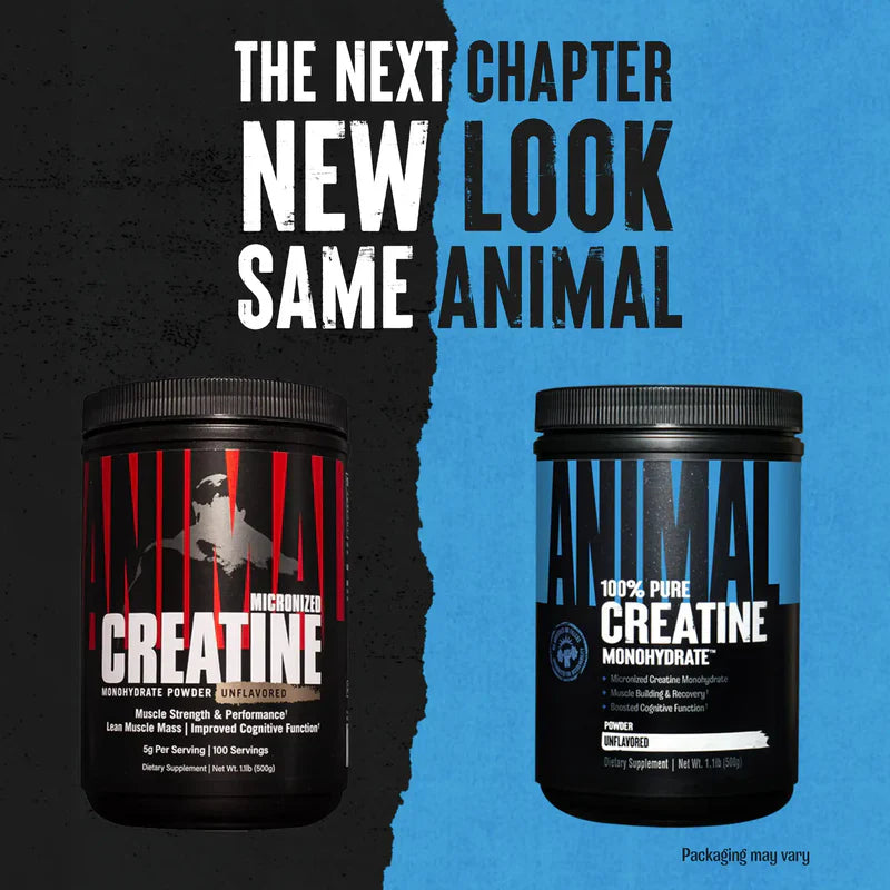Animal Creatine Monohydrate pure powder