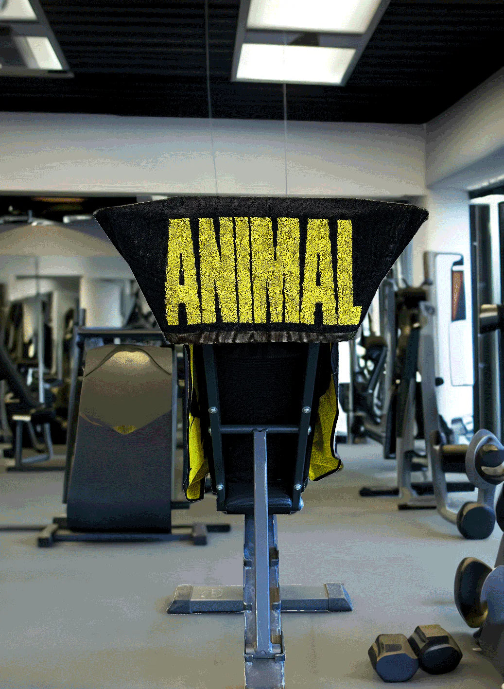 Animal gym towel A logo lifestyle view