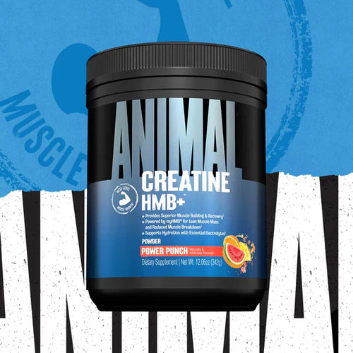 Animal Creatine HMB Plus power punch flavour