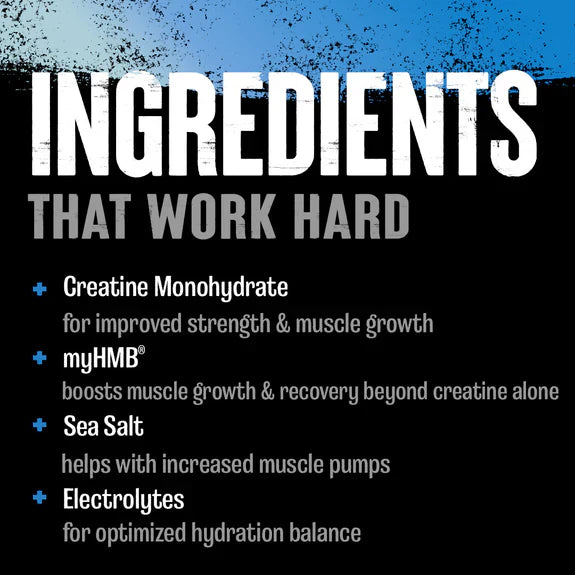 Animal Creatine HMB Plus ingredients card