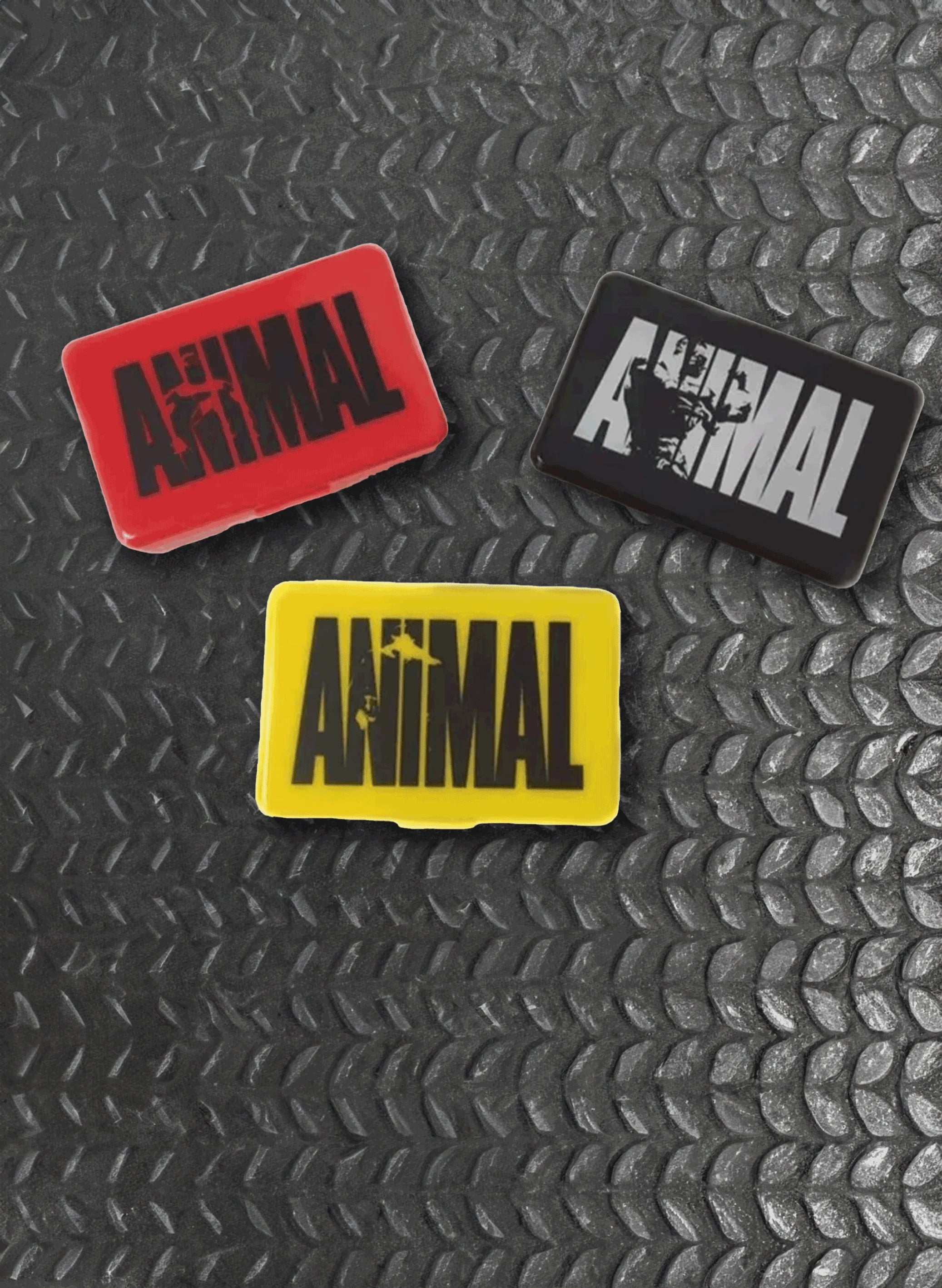 Animal pill case supplement organizer front view