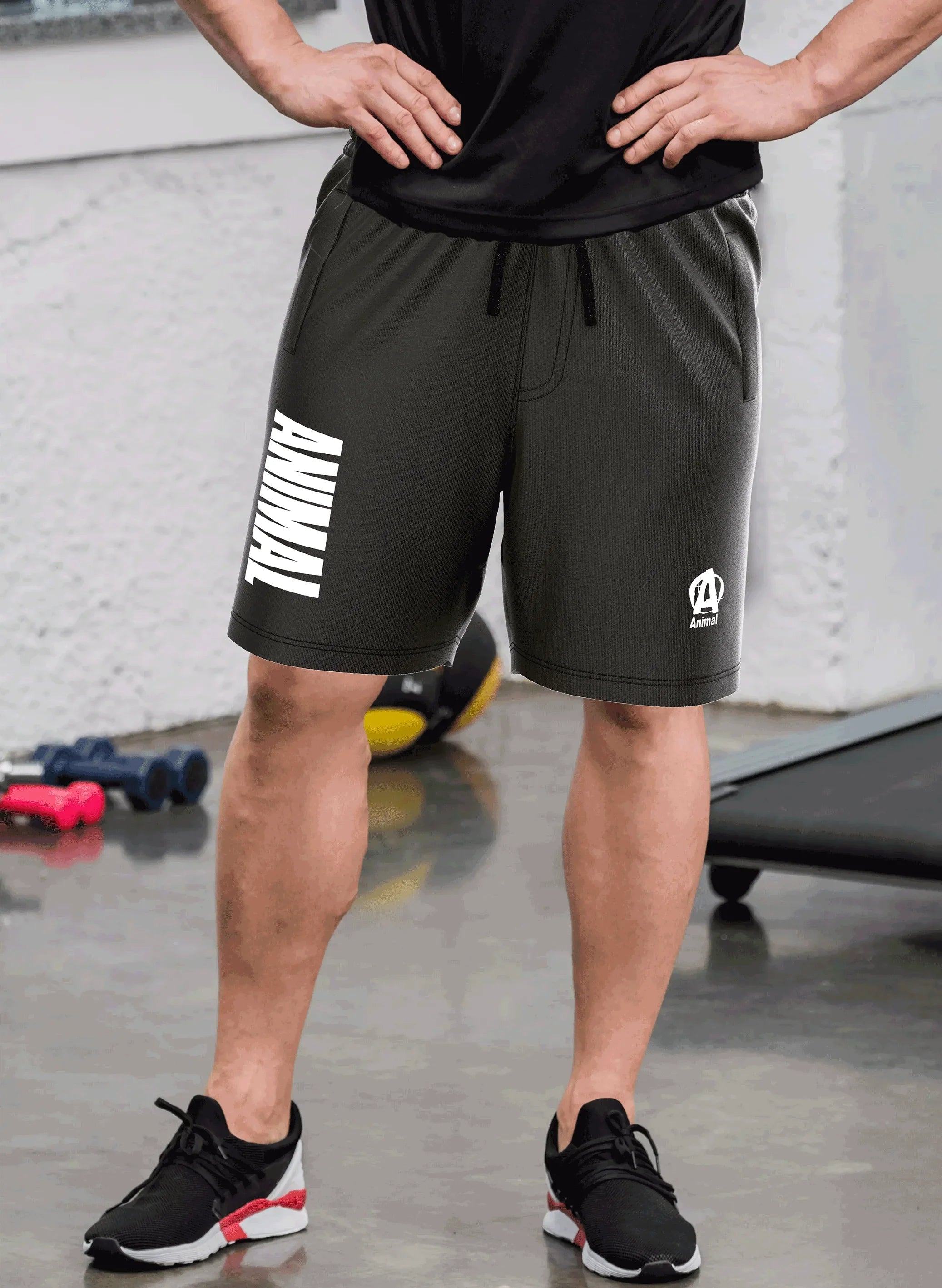 Animal premium sweat shorts gym wear