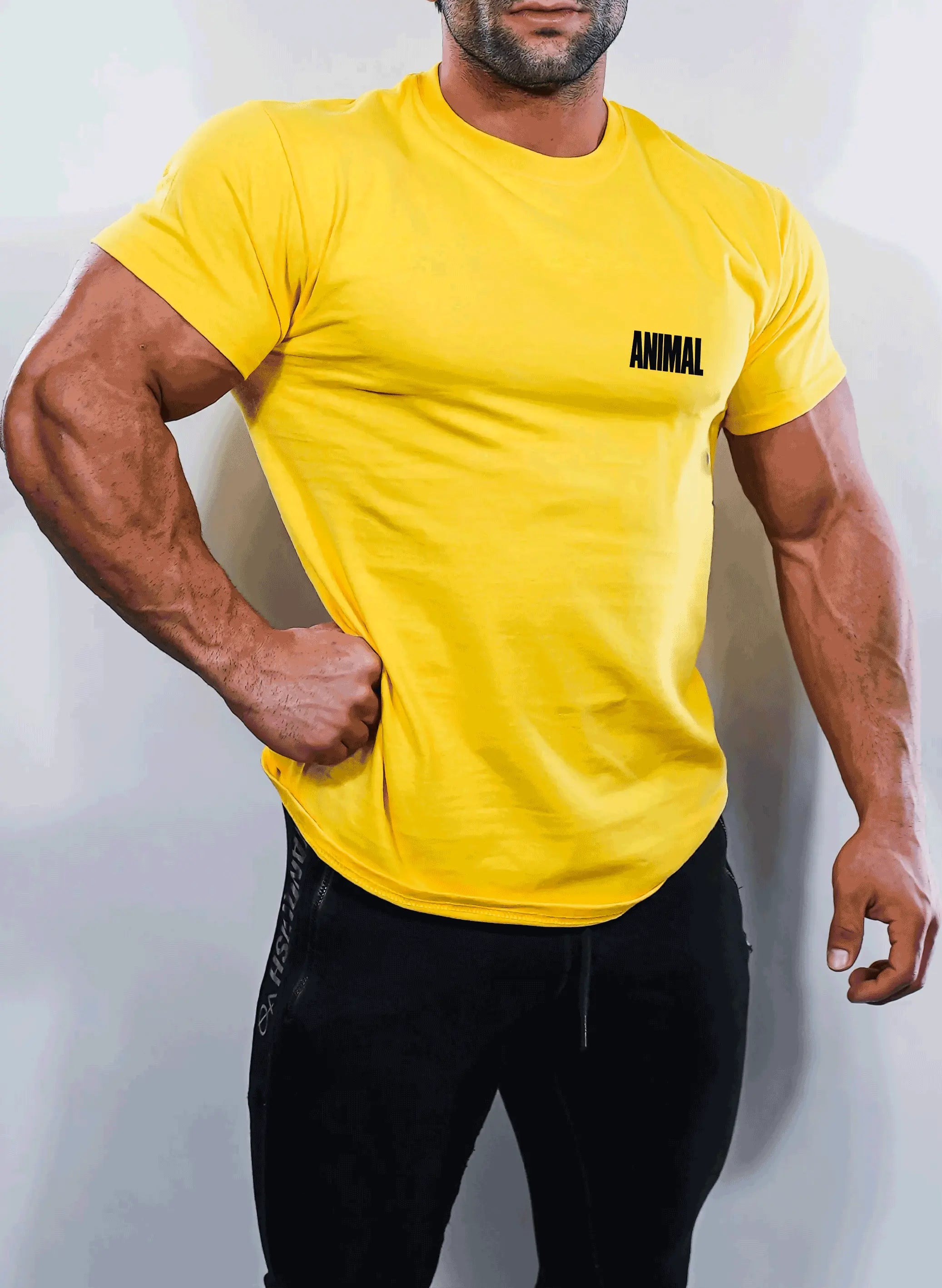 Animal branded logo t-shirt yellow mens gym wear
