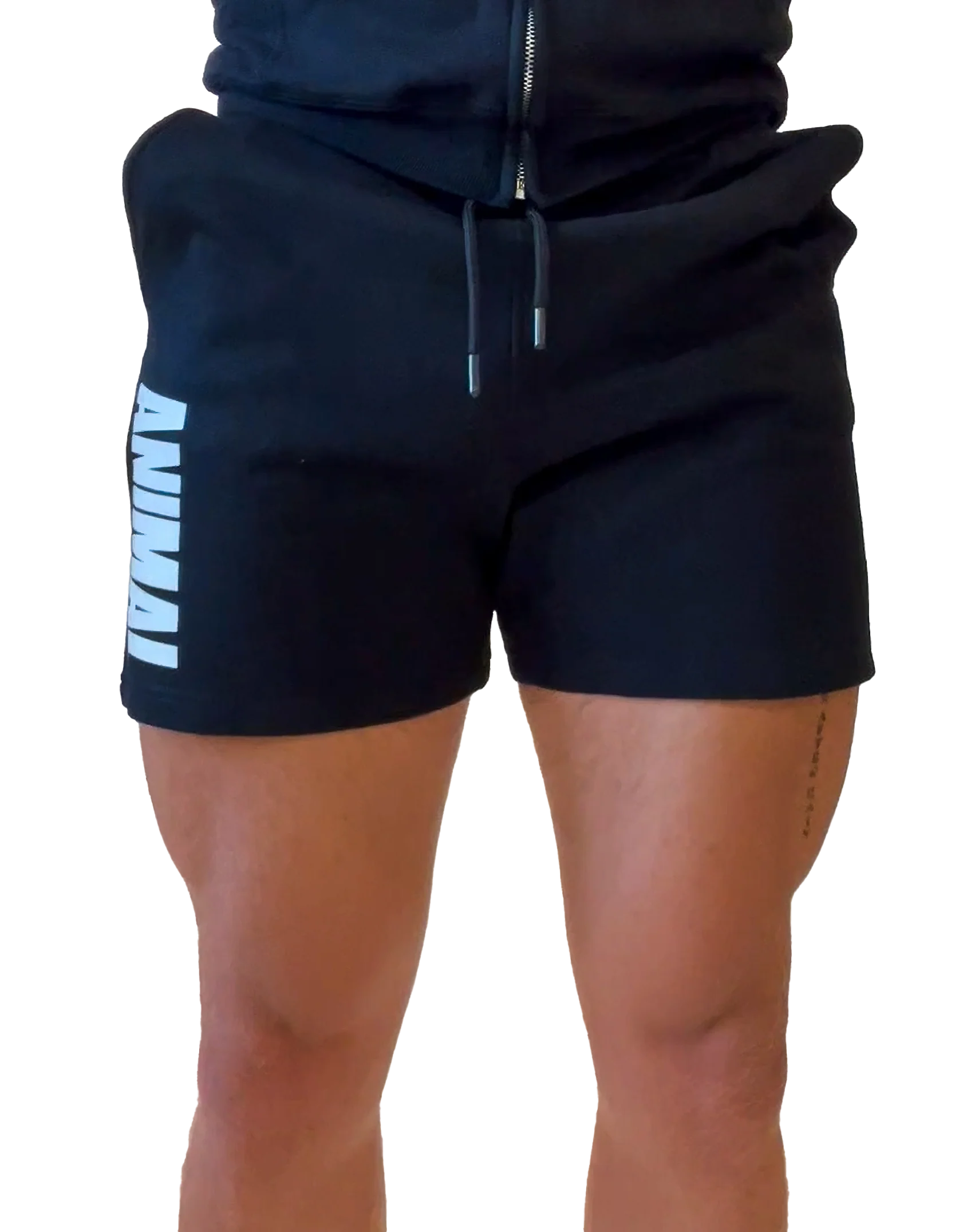 Animal sweat shorts front view premium collection